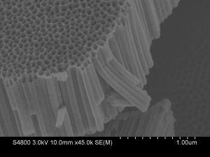 1 um nanotubes